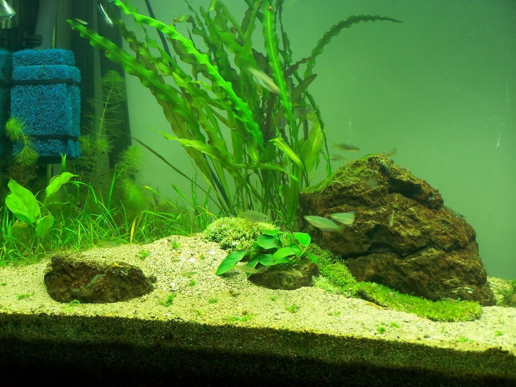 100_5220.jpg