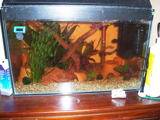 100_0674.JPG
