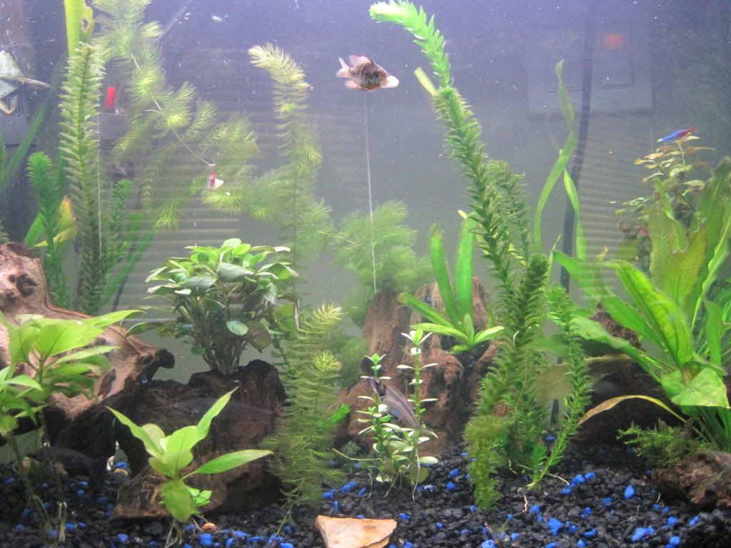 IMG_1971.jpg