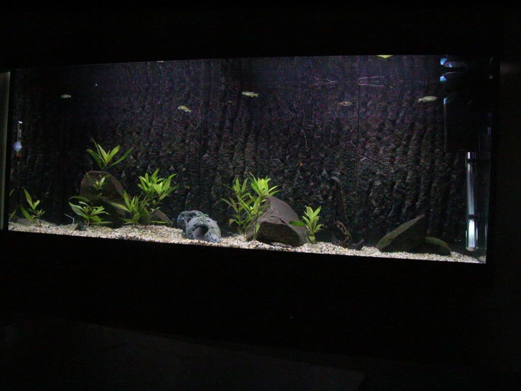 DSCN3623.jpg