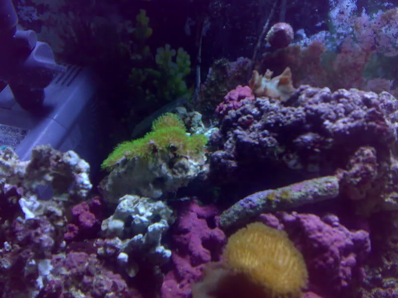 07012007084.jpg