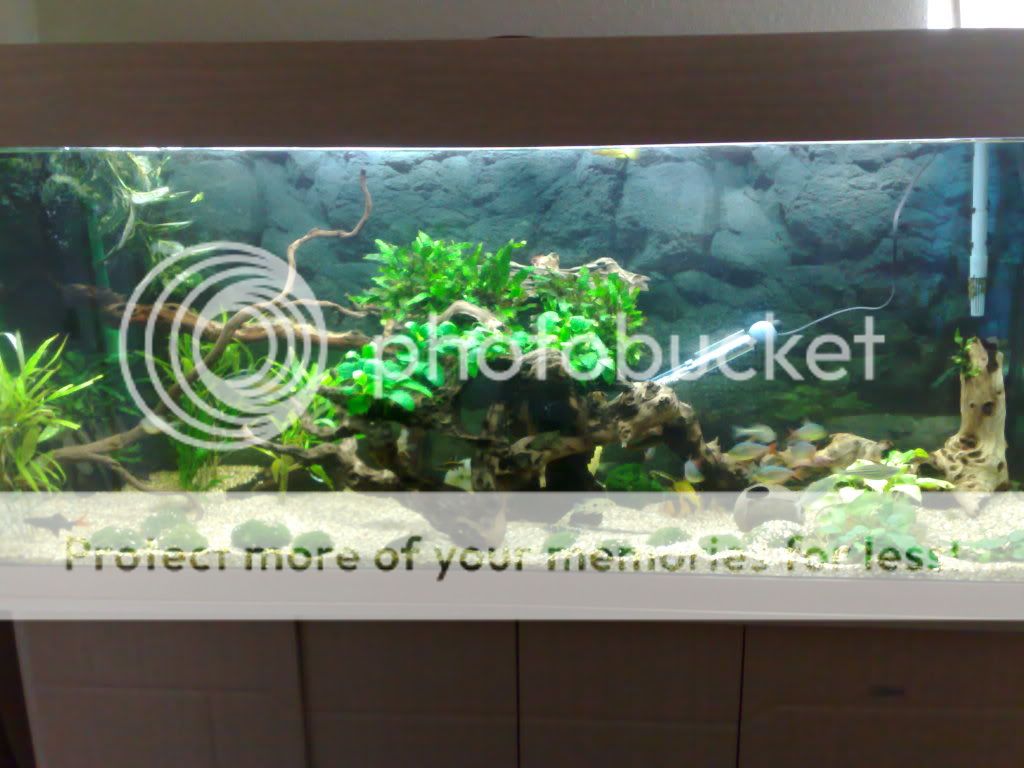 05052009221.jpg