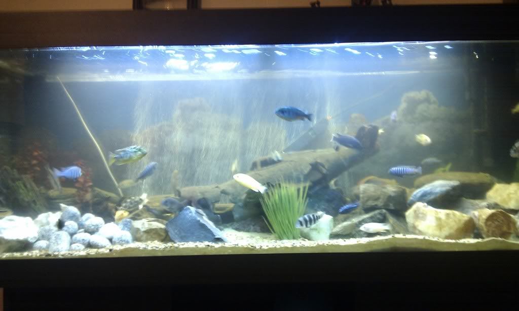 IMAG0171.jpg