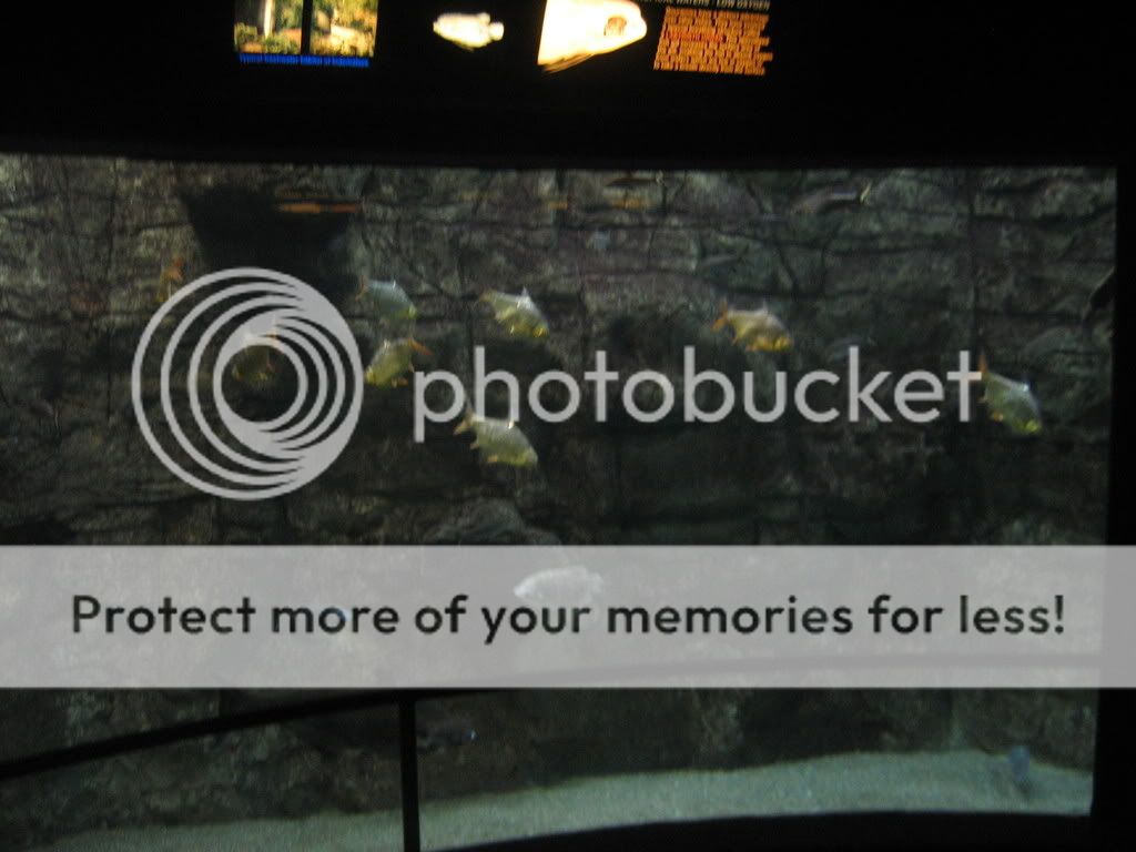Picture201.jpg