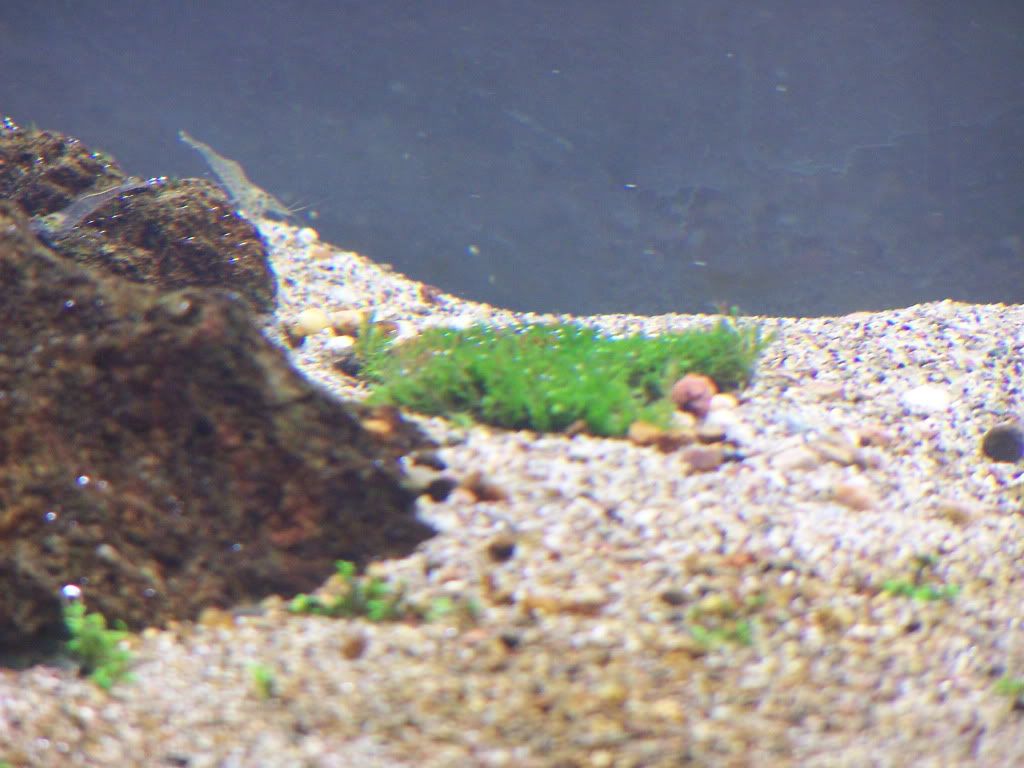 100_5131.jpg