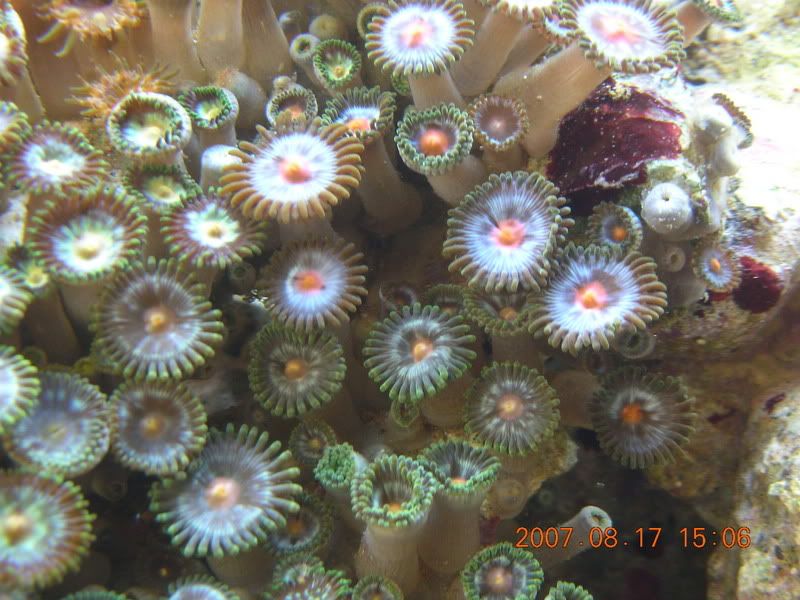 DSCN1870.jpg