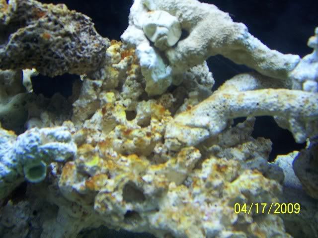 100_5376.jpg