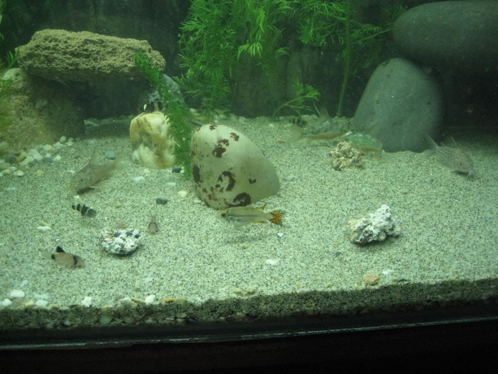 IMG_5458.jpg