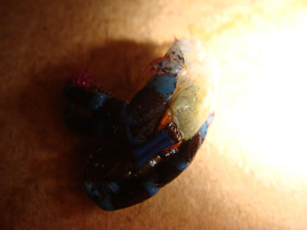 DSC01984.jpg