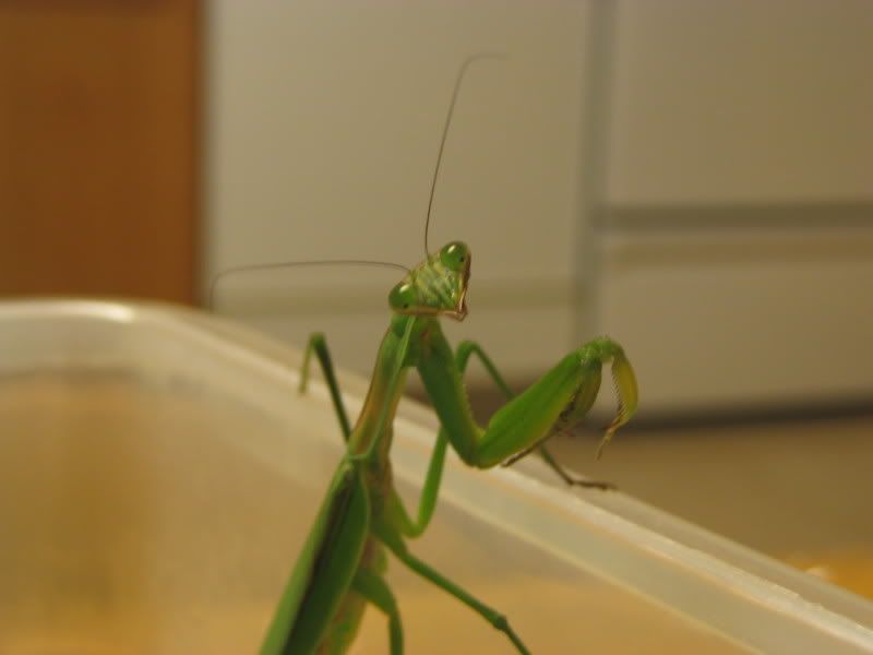 april2006072.jpg