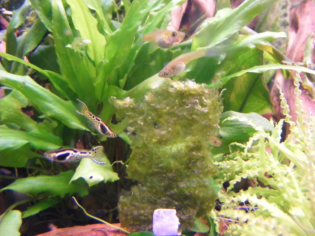 DSCF1007.jpg
