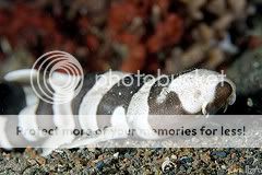 3310514967_ec92fccd31_m.jpg