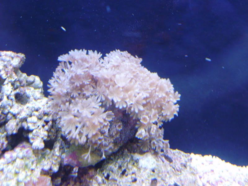 PB130236.jpg
