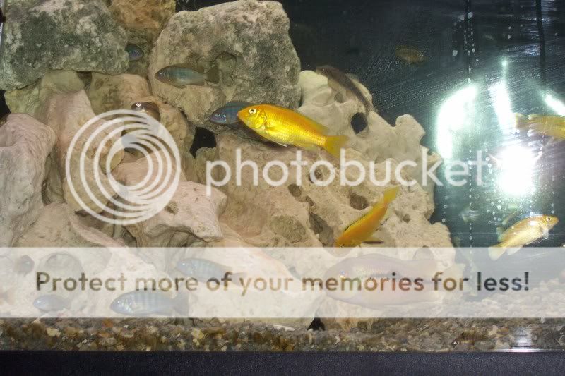 newfish1004.jpg