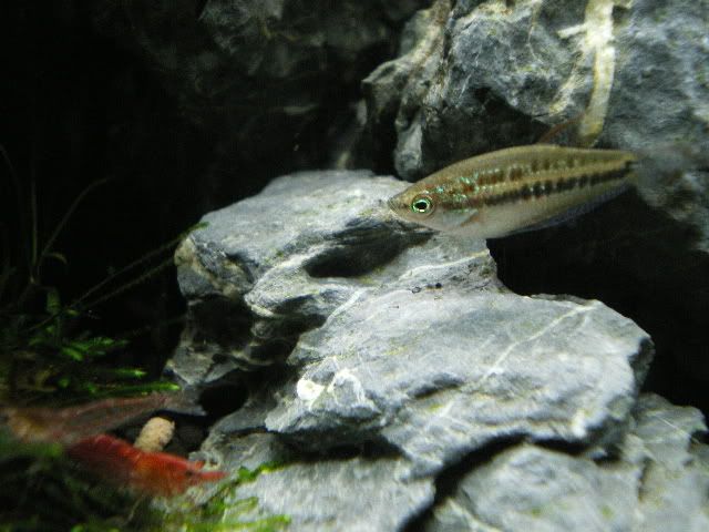 IMGP1769.jpg