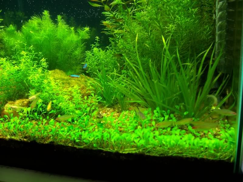 100_2323.jpg