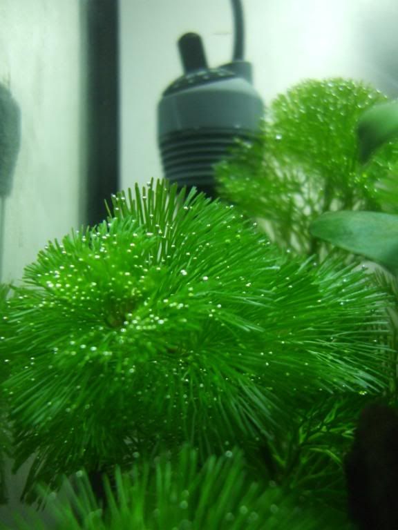 DSCF9797.jpg