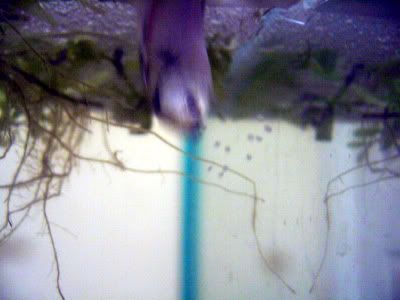 774a091e.jpg