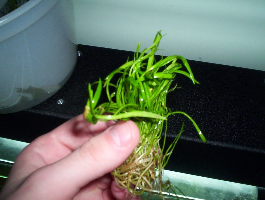 100_0436.jpg