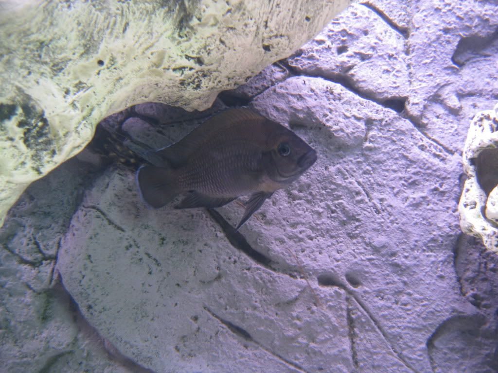 IMG_3207.jpg