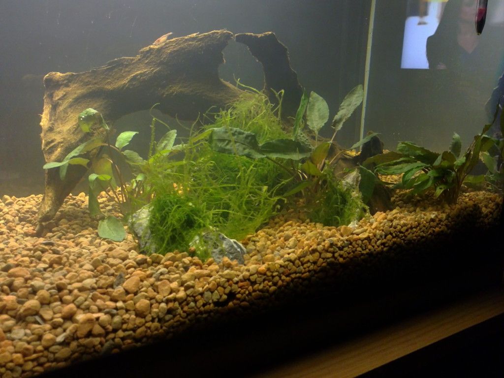 11022012240.jpg