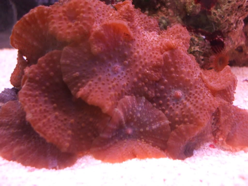 DSCF9032.jpg
