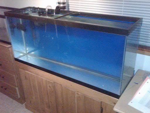 aquariumwithbackground.jpg