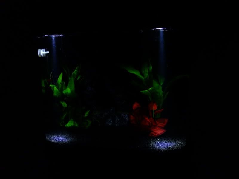 DSCF2432.jpg