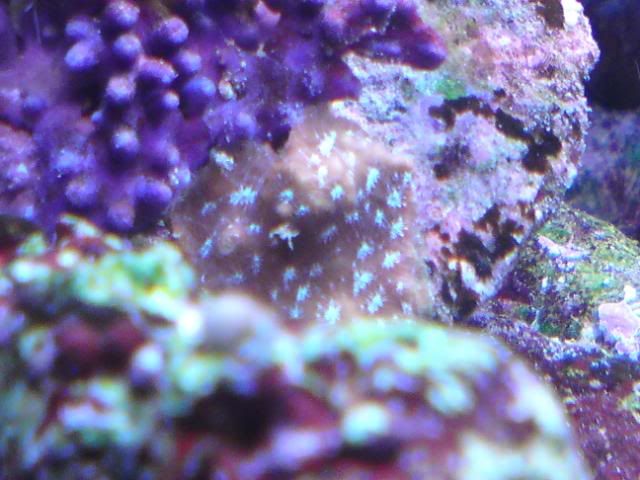 DSC00768.jpg