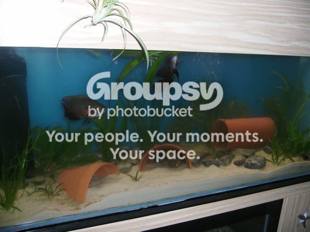 003-9.jpg