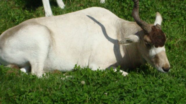 DSC01616.jpg