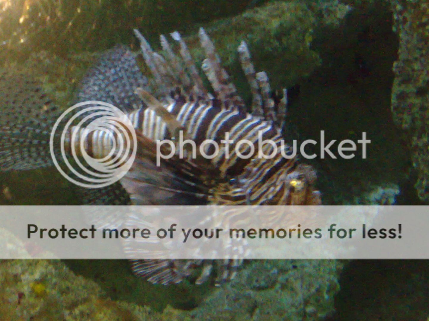 23082008063.jpg