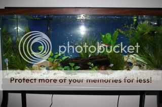 IMG_2751.jpg