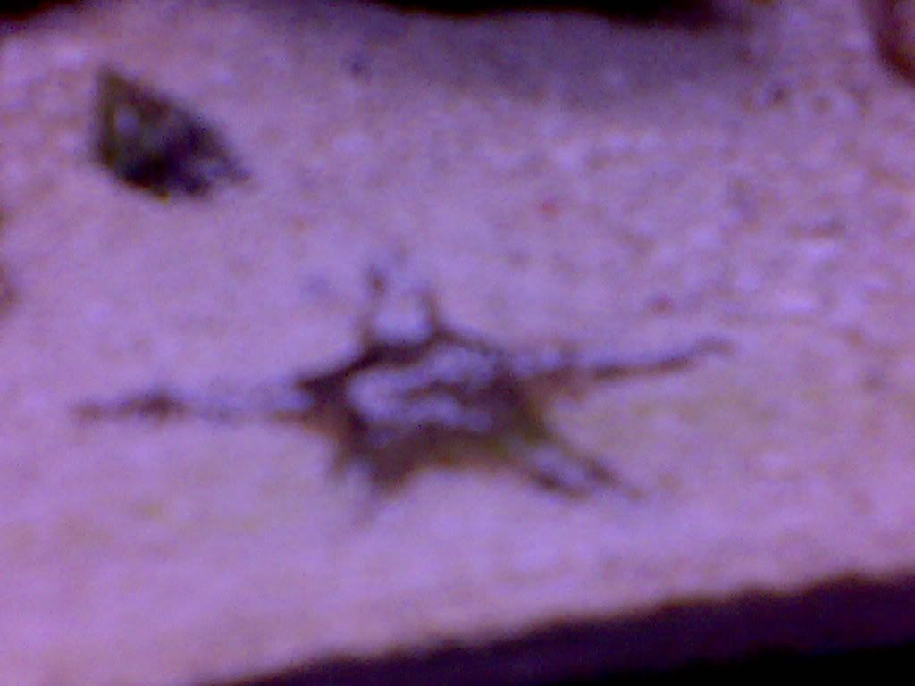 24112008061.jpg