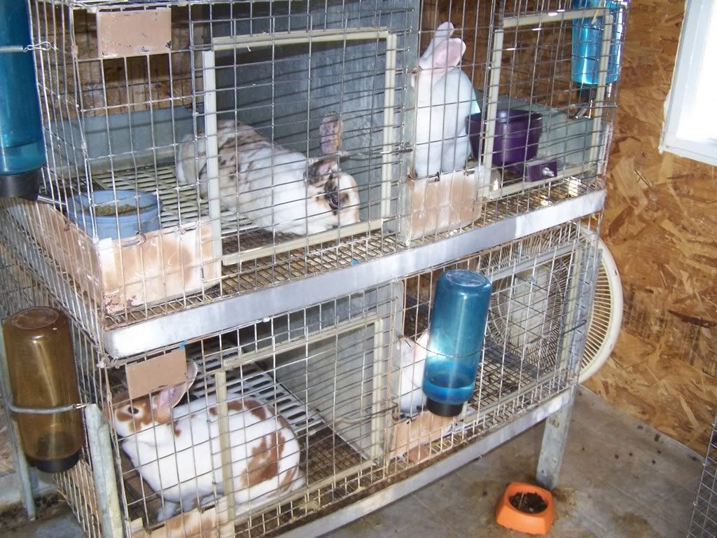 Picture002.jpg
