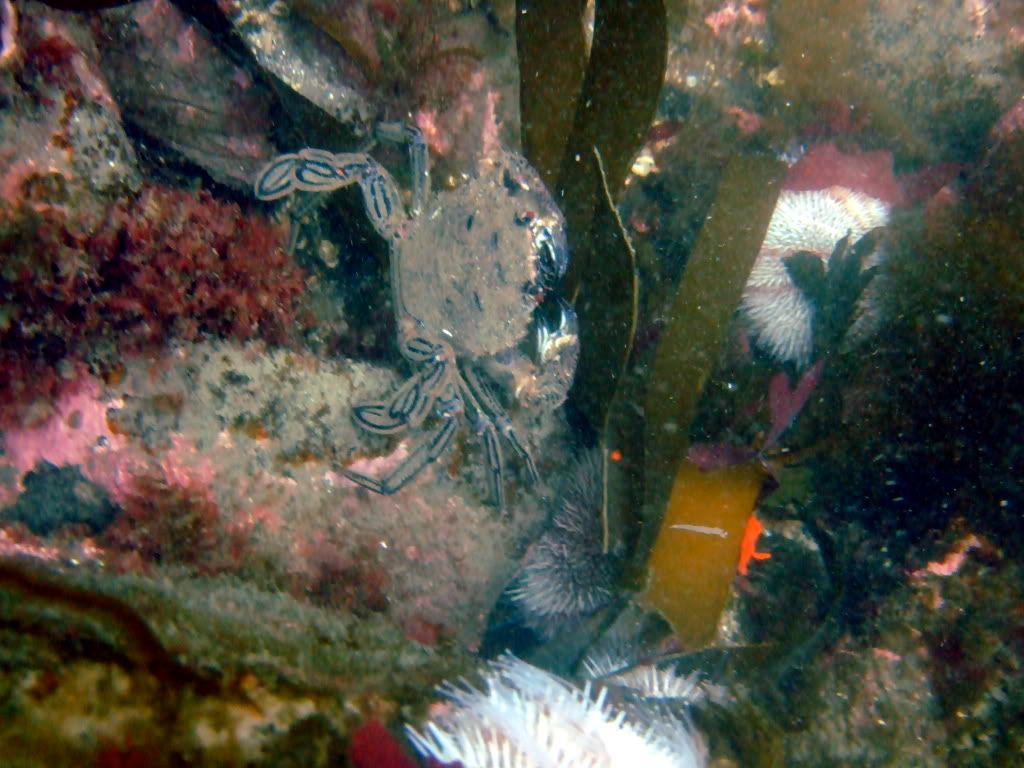 DSCF6065.jpg