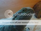 DSC01106.jpg