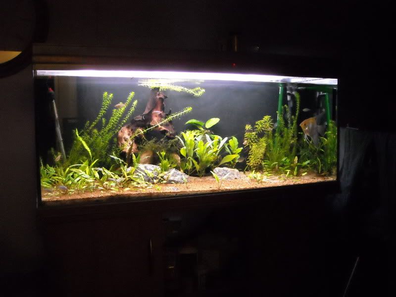 DSCN0860.jpg