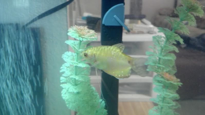 2011-12-10_15-18-22_609.jpg