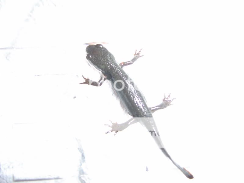 DSC01322.jpg