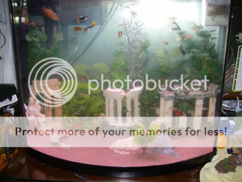 sortedphotos0800066-1.jpg