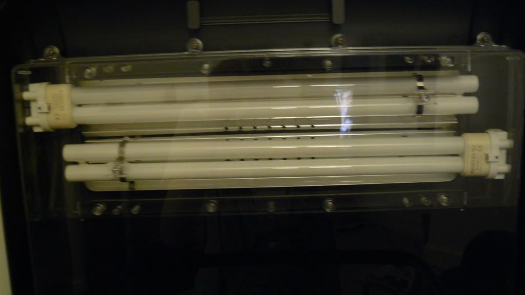 P1000856.jpg
