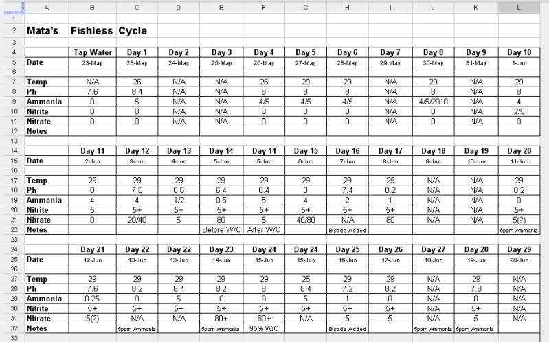 Cycle4.jpg