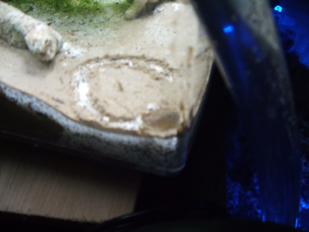 DSCF0375.jpg