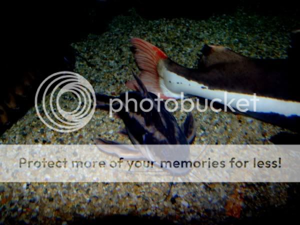 DSCF8861.jpg