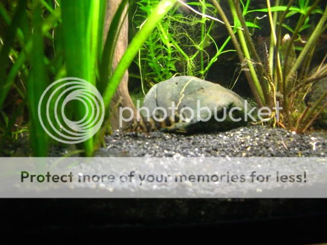 IMG_2091.jpg