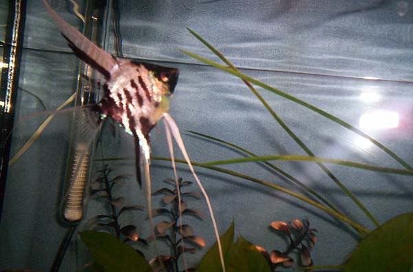 100_63211.jpg