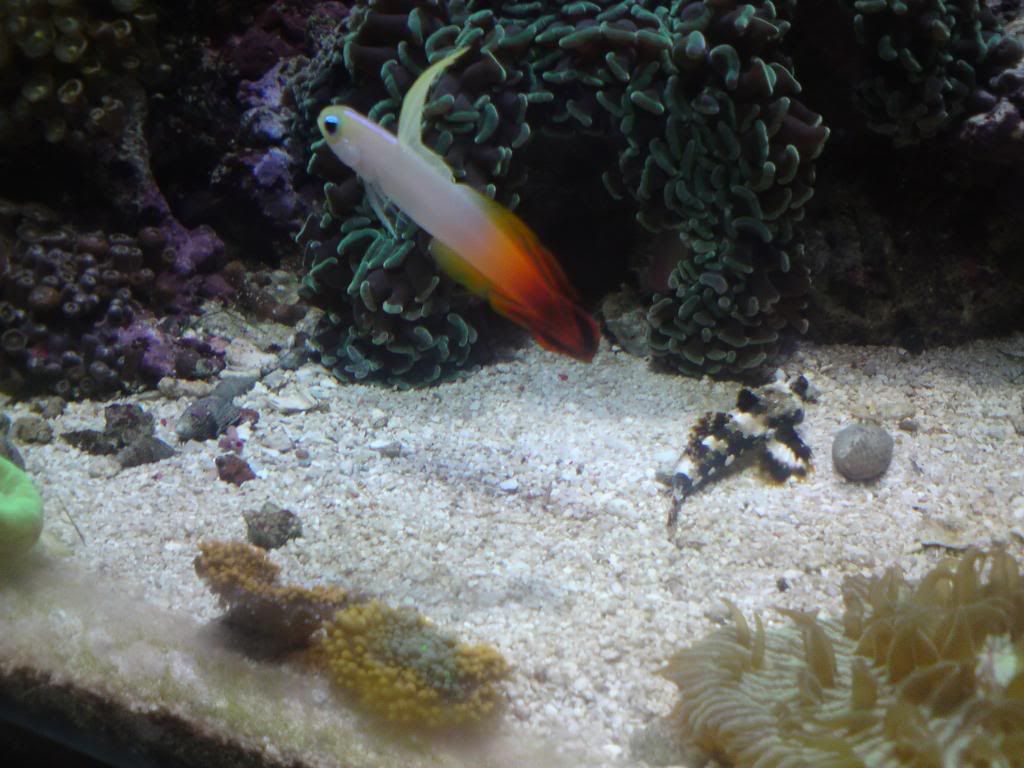 DSC00008.jpg