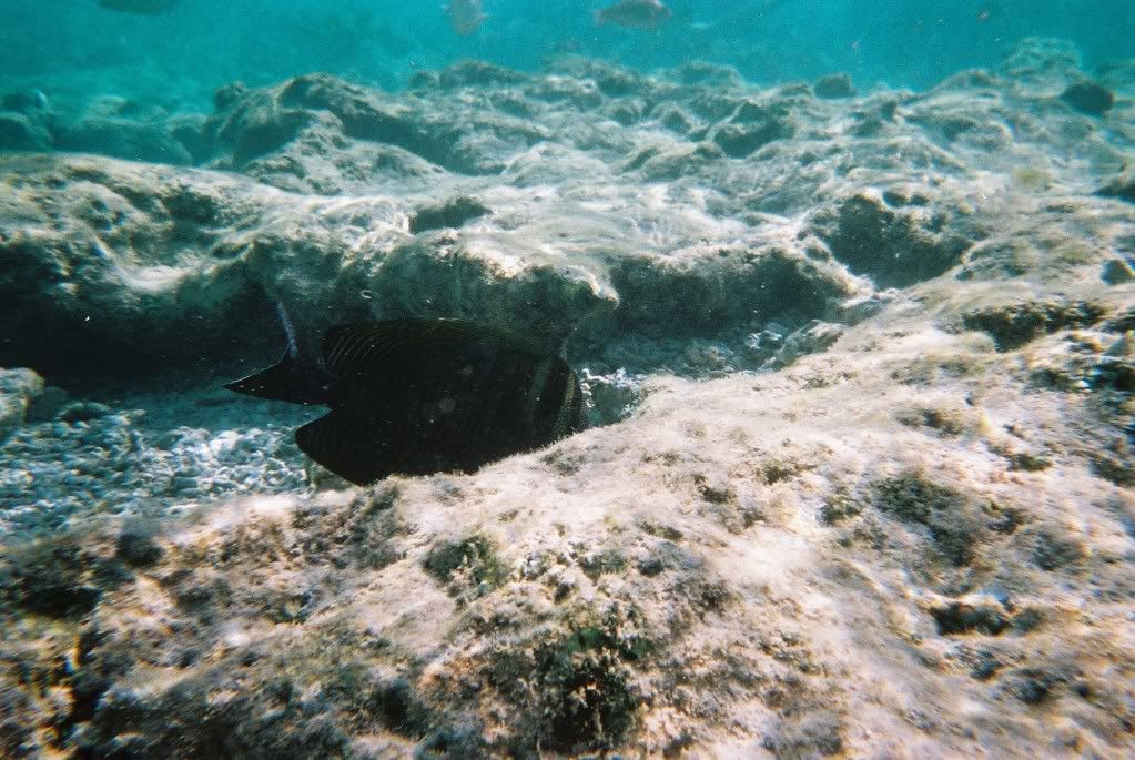 CNV00026.jpg