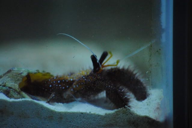 DSC_0471.jpg